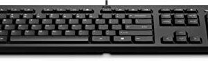 HP Keyboard 125 Wired (QWERTY) English Black