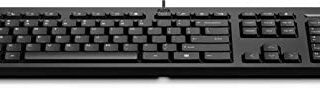 HP Keyboard 125 Wired (QWERTY) English Black