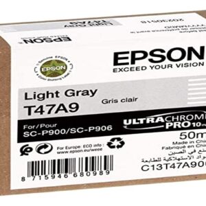Epson Singlepack Light Gray T47A9 UltraChrome