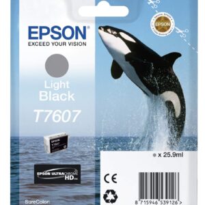 Epson C13T76074010 T7607 Ink Cartridge Light Black Genuine