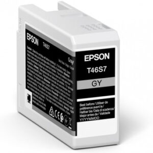Epson C13T46S700/T46S7 Ink cartridge gray 25ml for SC-P 700