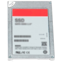 Dell 12GBPS 800GB SAS Internal SSD