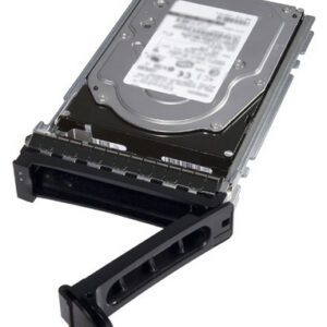 Dell 12GBS 12TB SAS Hard Drive (HDD)
