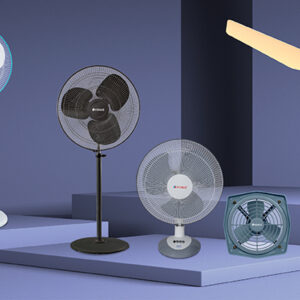 Fan