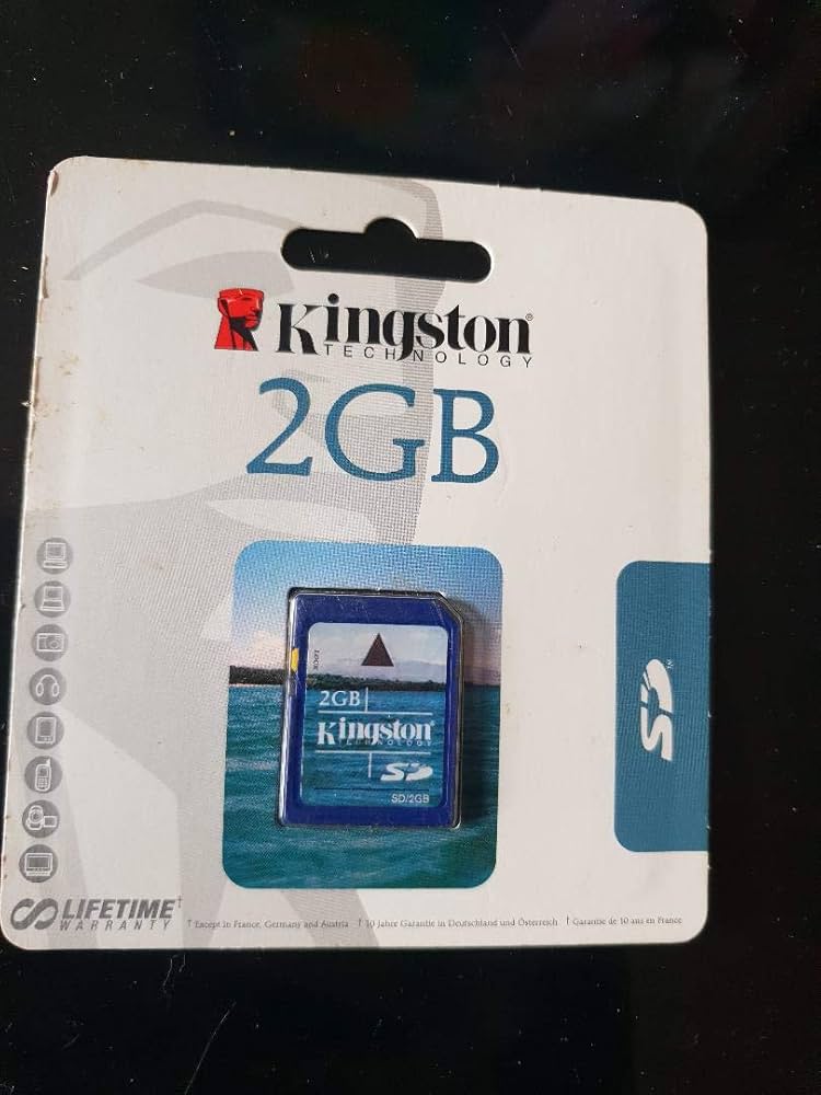 DELL KINGSTON 1GB SD CARD